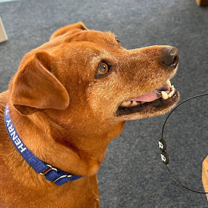 Meet your Posher, Cheryl